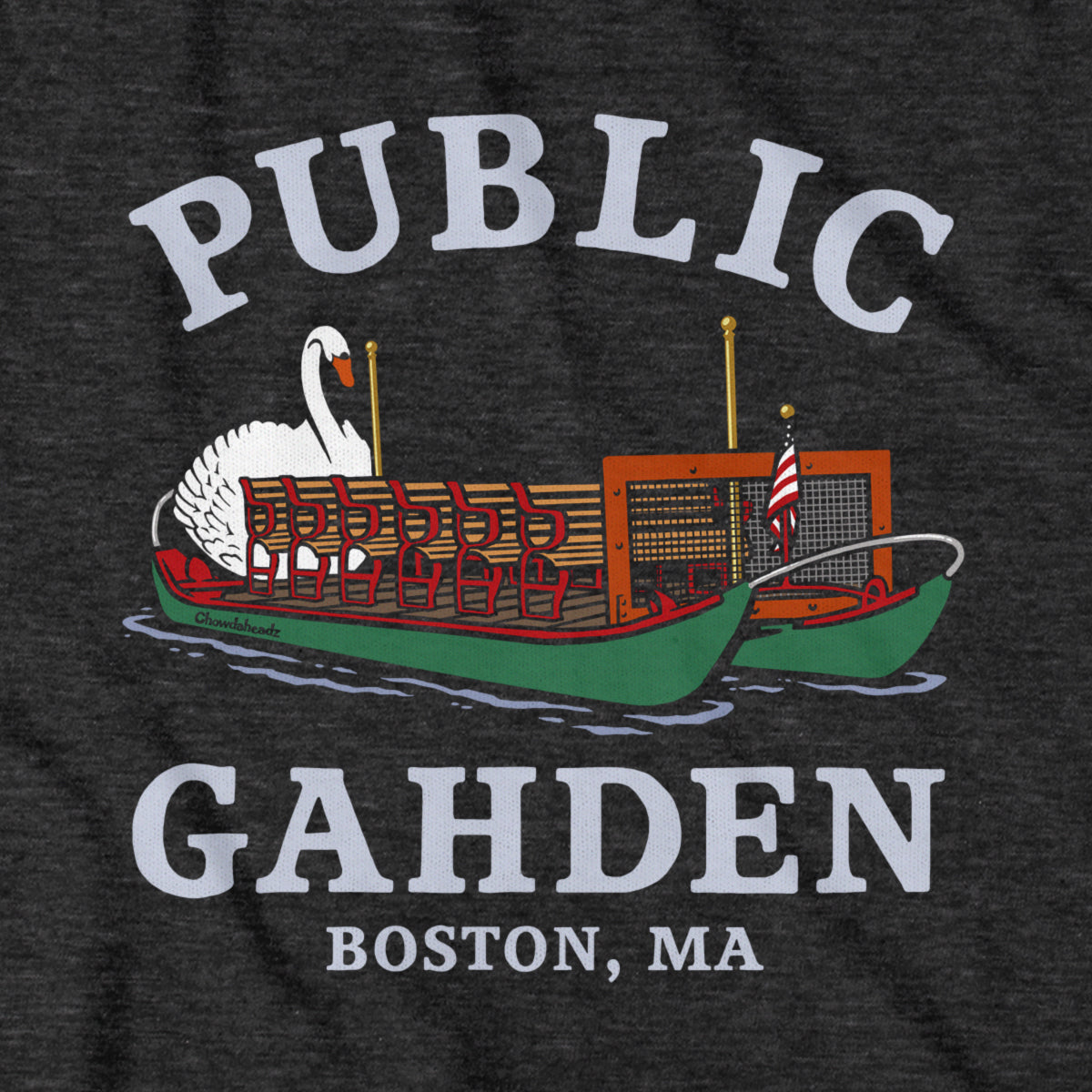 Public Gahden Swan Boat Youth T-Shirt
