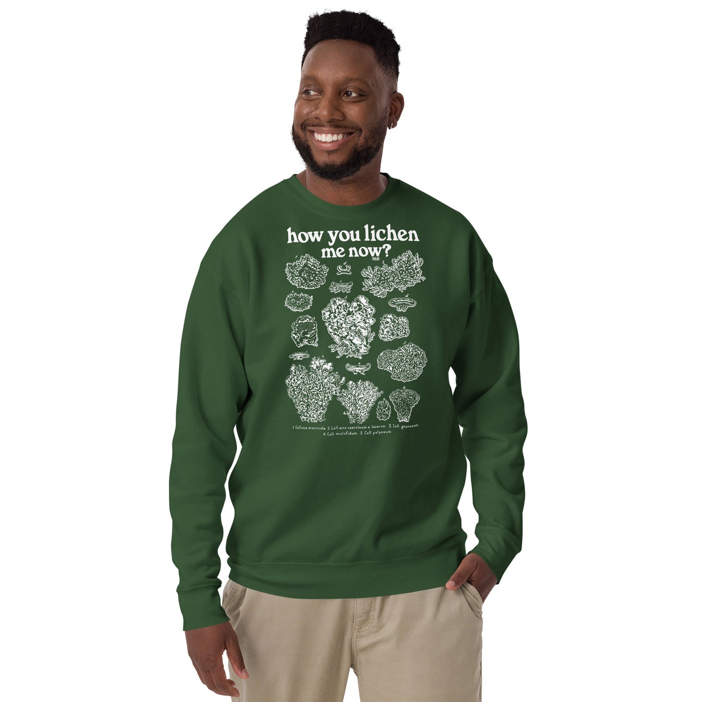 Unisex How You Lichen Me Now Classic Fleece Sweatshirt