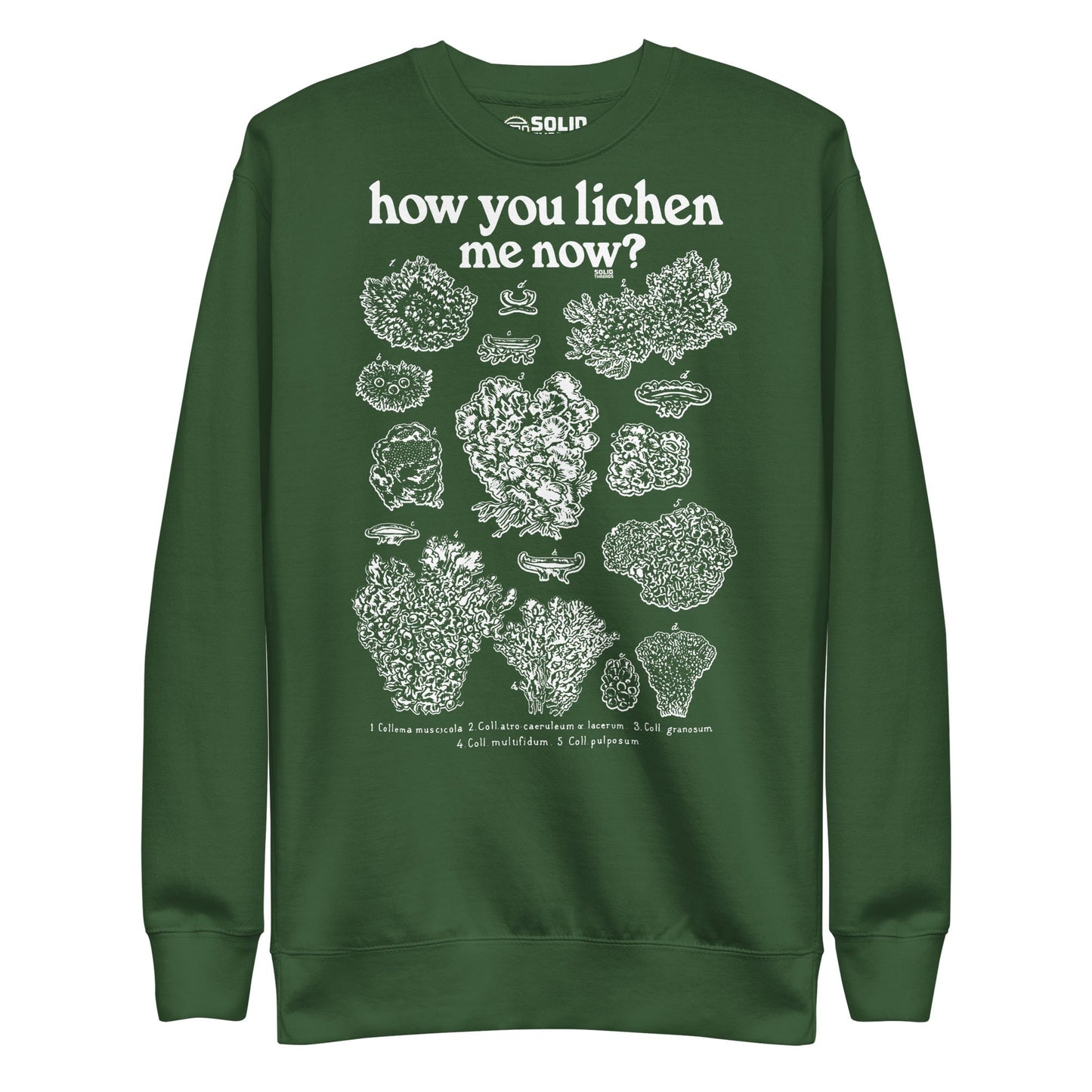 Unisex How You Lichen Me Now Classic Fleece Sweatshirt