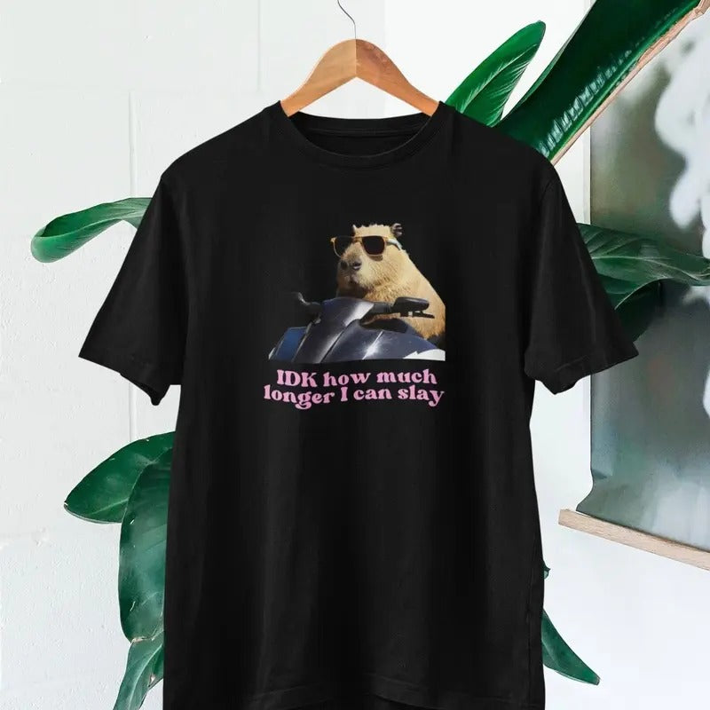 IDK How much longer I can slay T-shirt | Slay T-shirt | Funny top | TikTok fans