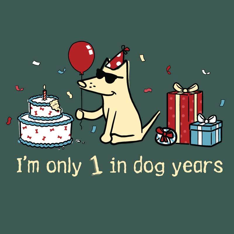 Teddy's Birthday Shirt - Classic Tee