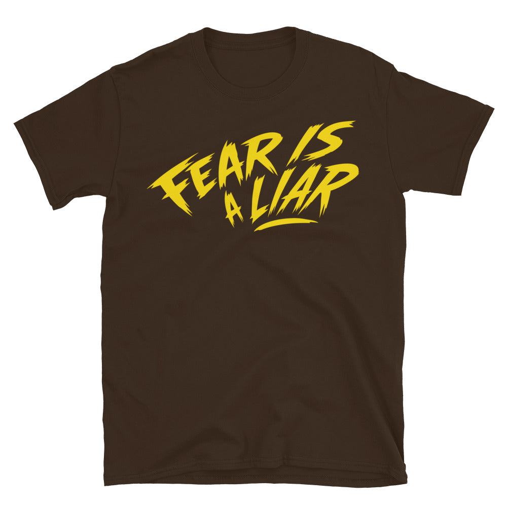 Fear Is A Liar T-Shirt
