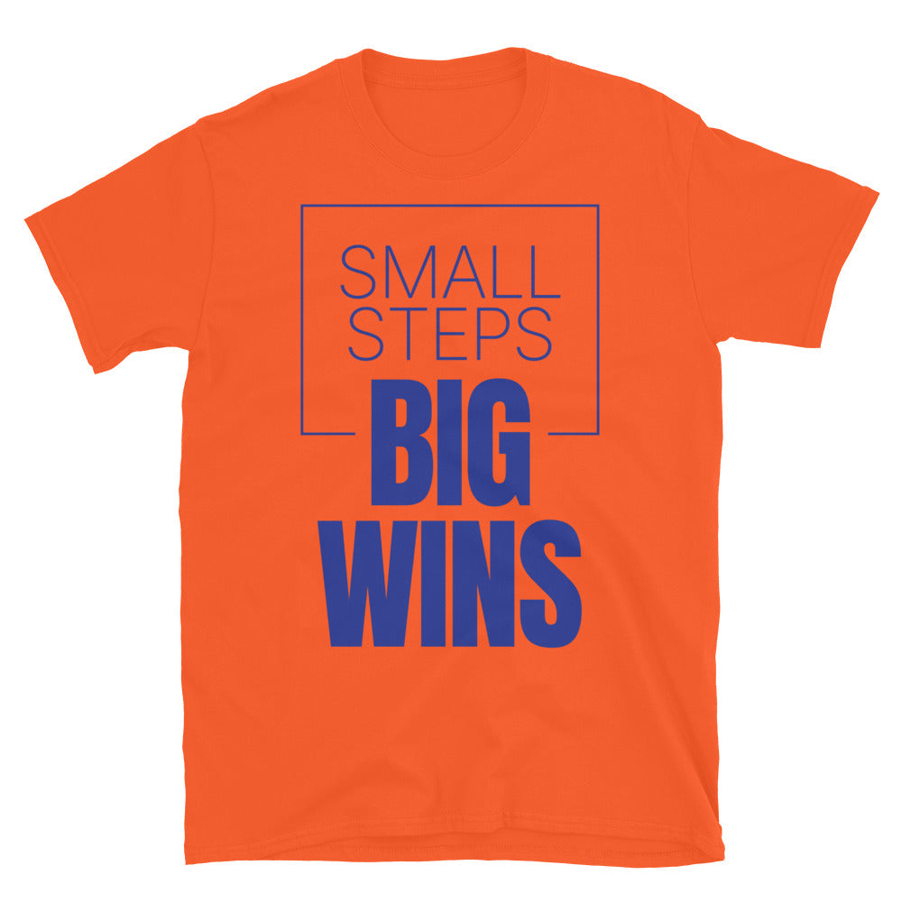 Small Steps, Big Wins T-Shirt