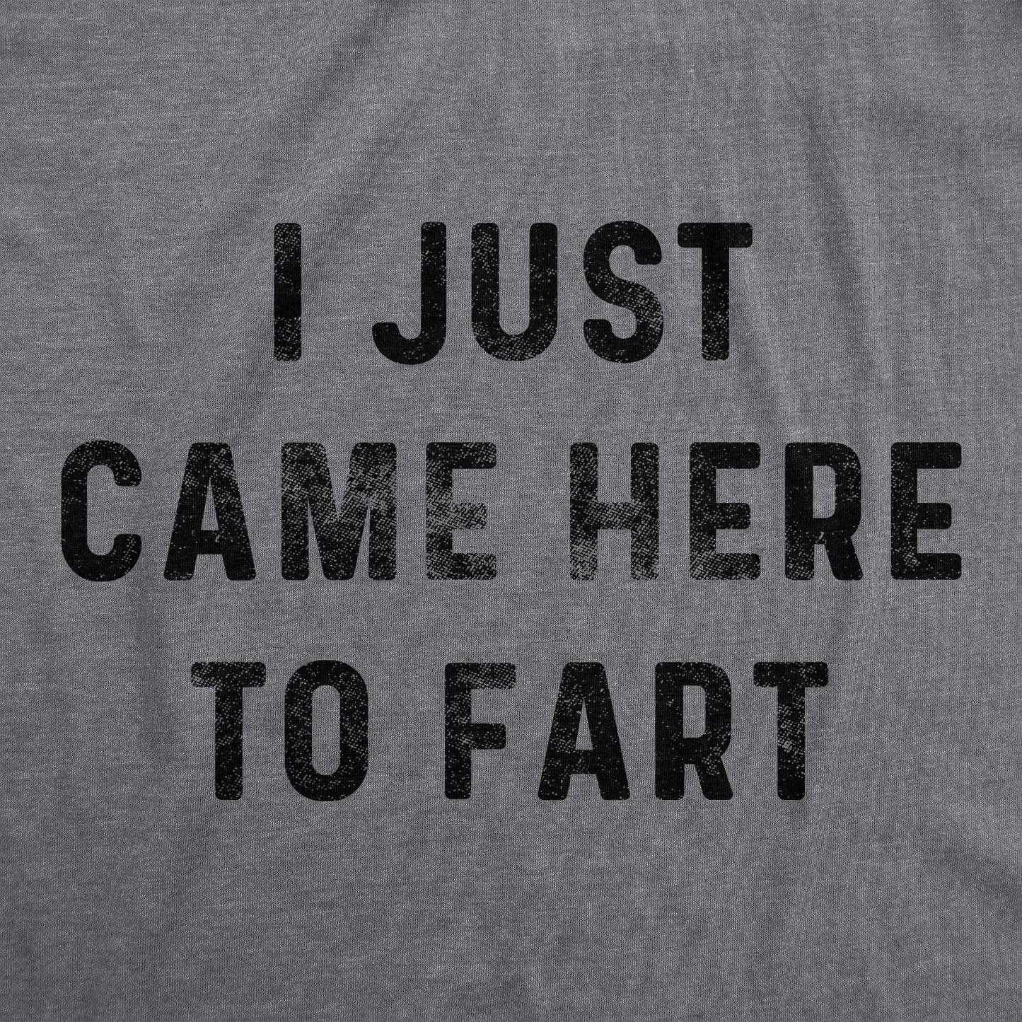 I Just Came Here To Fart Men's T Shirt