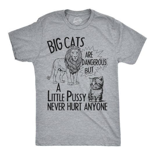 Big Cats Are Dangerous But A Little Pussy Never Hurt Anyone Men's T Shirt