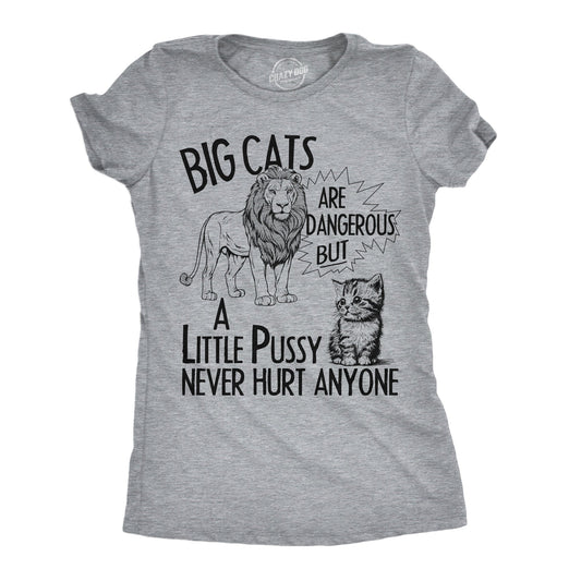 Big Cats Are Dangerous But A Little Pussy Never Hurt Anyone Women's T Shirt
