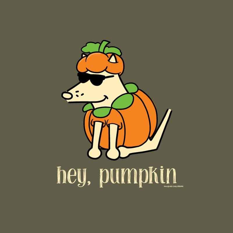 Hey, Pumpkin - Sweatshirt Pullover Hoodie