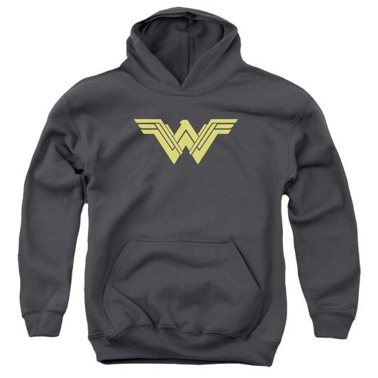 Batman v Superman Clean Line Logo - Youth Hoodie