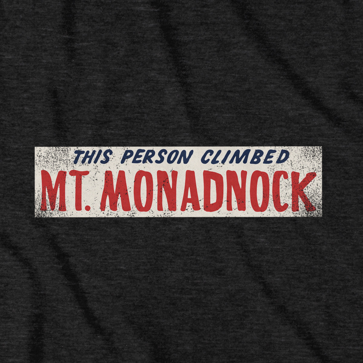 This Person Climbed Mt. Monadnock T-Shirt