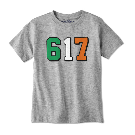 Boston 617 Irish Flag Youth T-Shirt