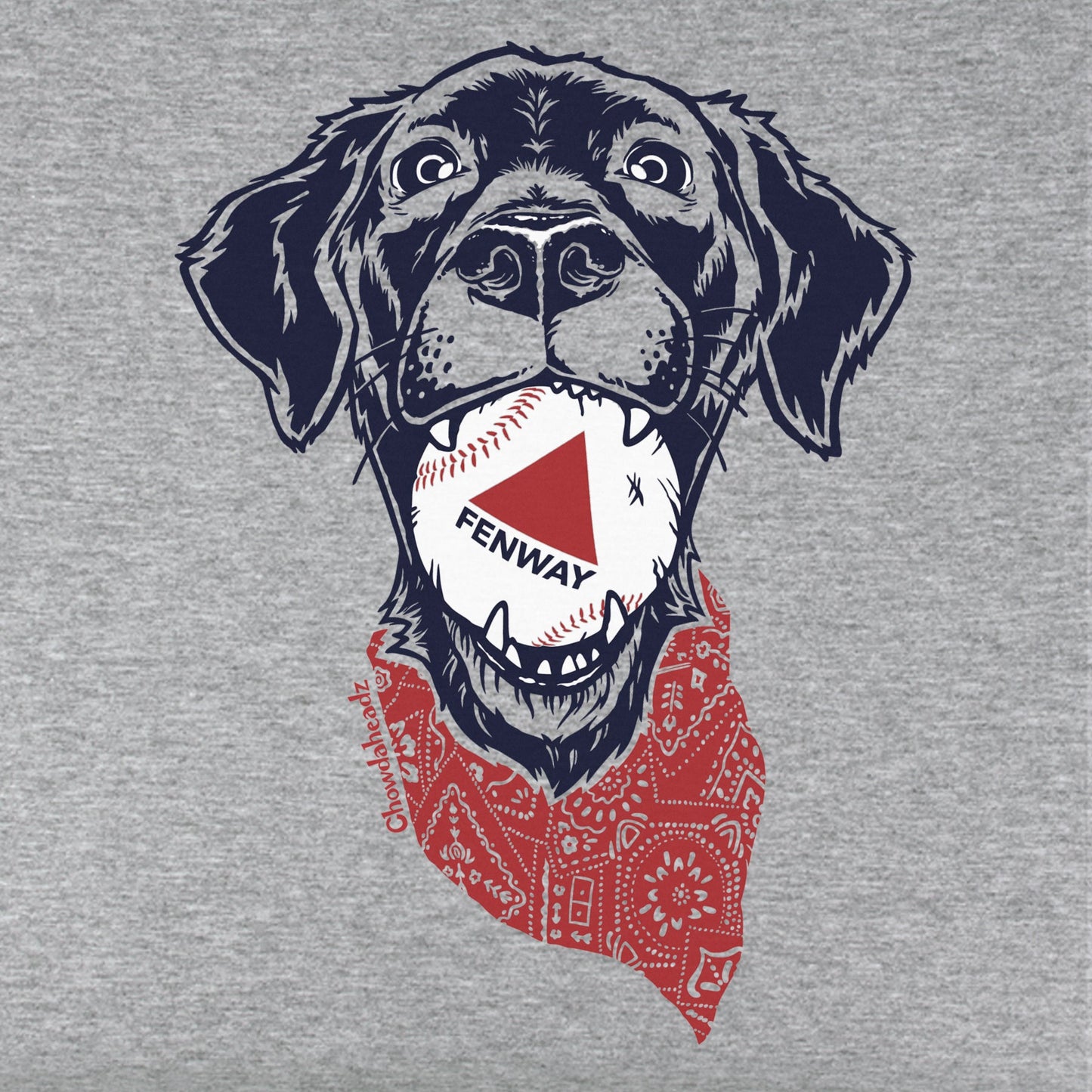 Fenway Dog Youth T-Shirt