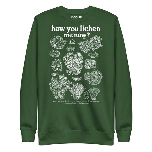Unisex How You Lichen Me Now Classic Fleece Sweatshirt