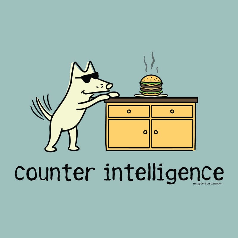 Counter Intelligence - Sweatshirt Pullover Hoodie