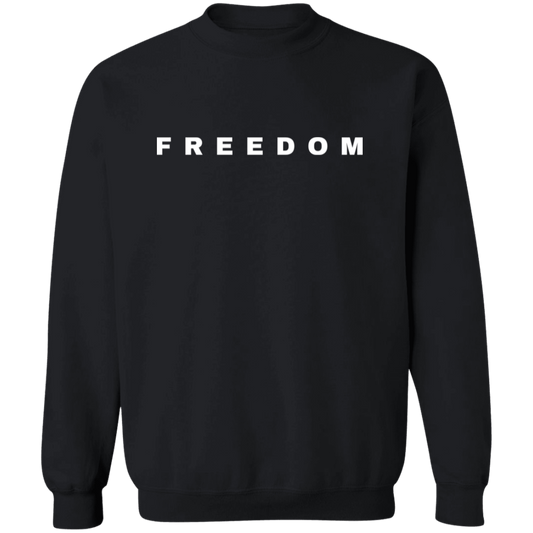 Freedom A True Patriot Charlie Kirk The Greatness Of Our Nation Lies Sweatshirt