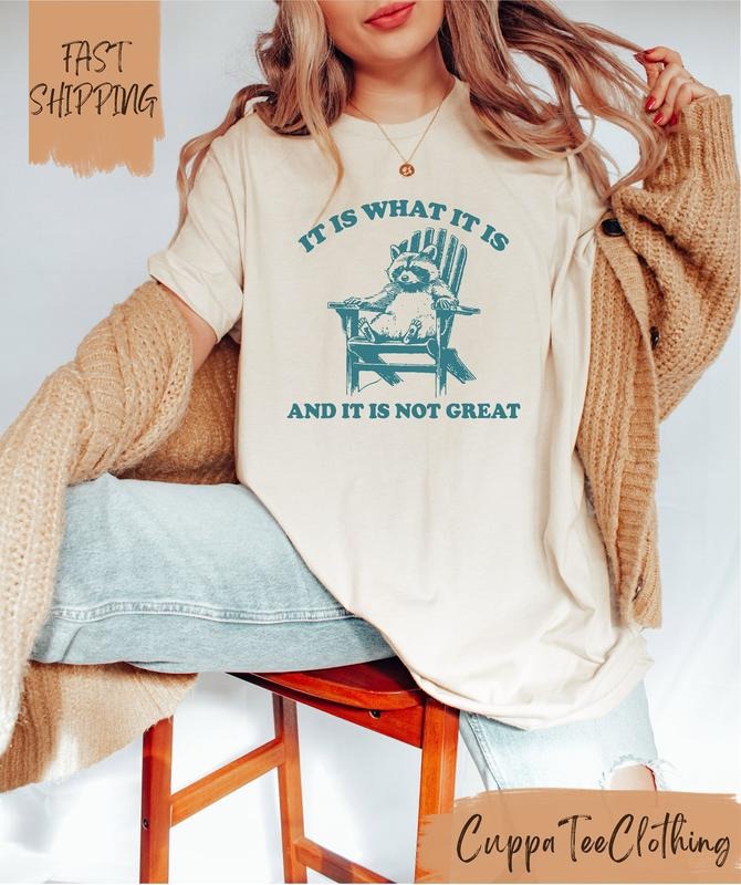 It Is What It Is And It Is Not Great Shirt / Funny Raccoon Shirt / Meme Shirt / Y2k Shirt / Retro Meme Shirt / Funny Saying T-shirt