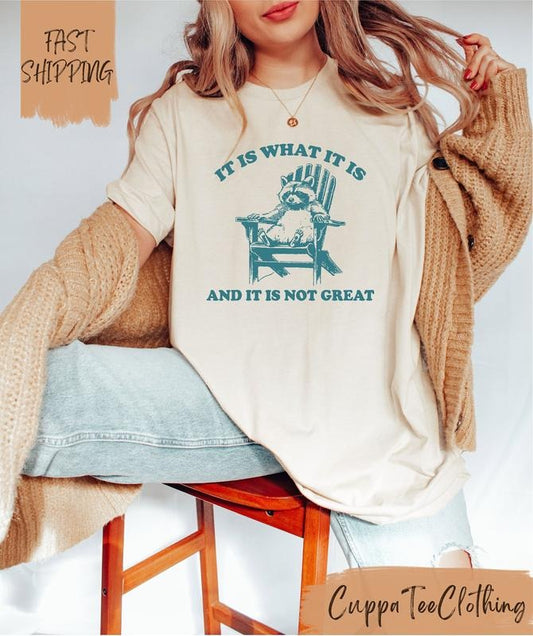 It Is What It Is And It Is Not Great Shirt / Funny Raccoon Shirt / Meme Shirt / Y2k Shirt / Retro Meme Shirt / Funny Saying T-shirt
