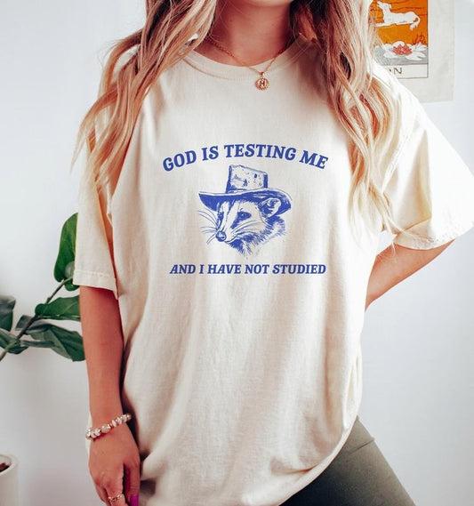 God Is Testing Me, Possum T Shirt, Weird Opossum T Shirt, Meme T Shirt, Trash Panda T Shirt