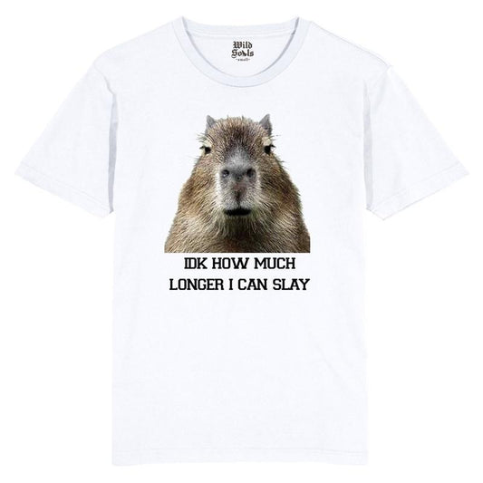 IDK How Much Longer I Can Slay Capybara Funny Tshirt, Funny, Trending, Joke, Sarcastic, Retro, Animal, Design Gift Top Women Men Meme