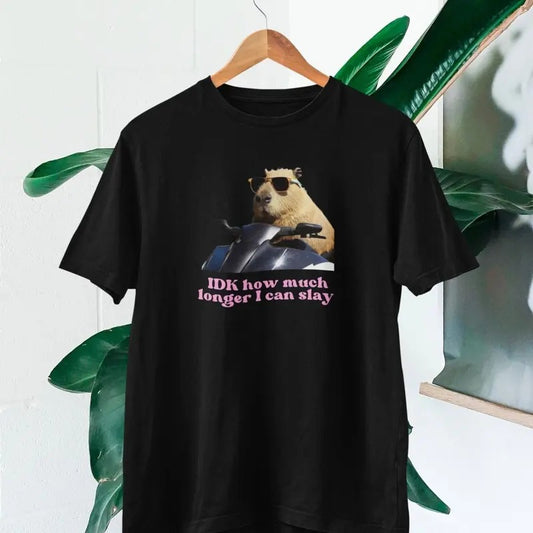 IDK How much longer I can slay T-shirt | Slay T-shirt | Funny top | TikTok fans