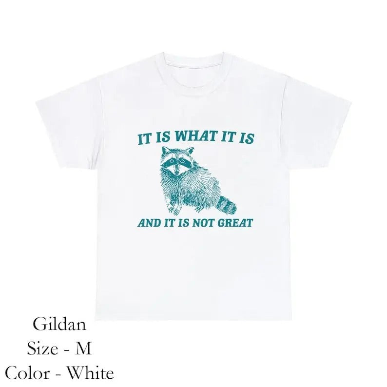 It Is What It Is And It Is Not Great Sweatshirt, Mental Health Sweatshirt, Funny Sweatshirt Women, Meme Sweatshirt, Raccoon Shirt, Gag Tee