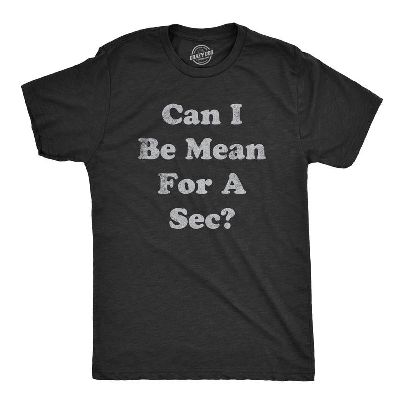 Mens Can I Be Mean For A Sec T Shirt Funny Rude Nasty Joke Tee For Guys Mens Funny T Shirts Cool Tees Soft Stylish Casual Menswear Funny Sarcastic T Shirt Novelty Tees for Men Black -