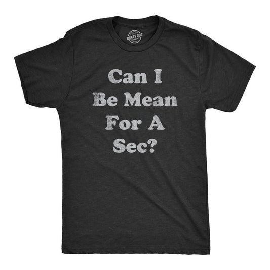 Mens Can I Be Mean For A Sec T Shirt Funny Rude Nasty Joke Tee For Guys Mens Funny T Shirts Cool Tees Soft Stylish Casual Menswear Funny Sarcastic T Shirt Novelty Tees for Men Black -