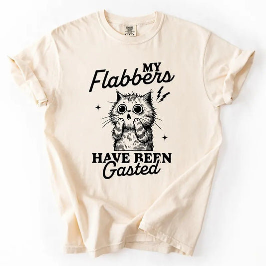 My Flabbers Have Been Gasted, Flabbergasted Cat, Funny, Sassy, Sarcastic Tshirt, Women's Comfort Colors Tee