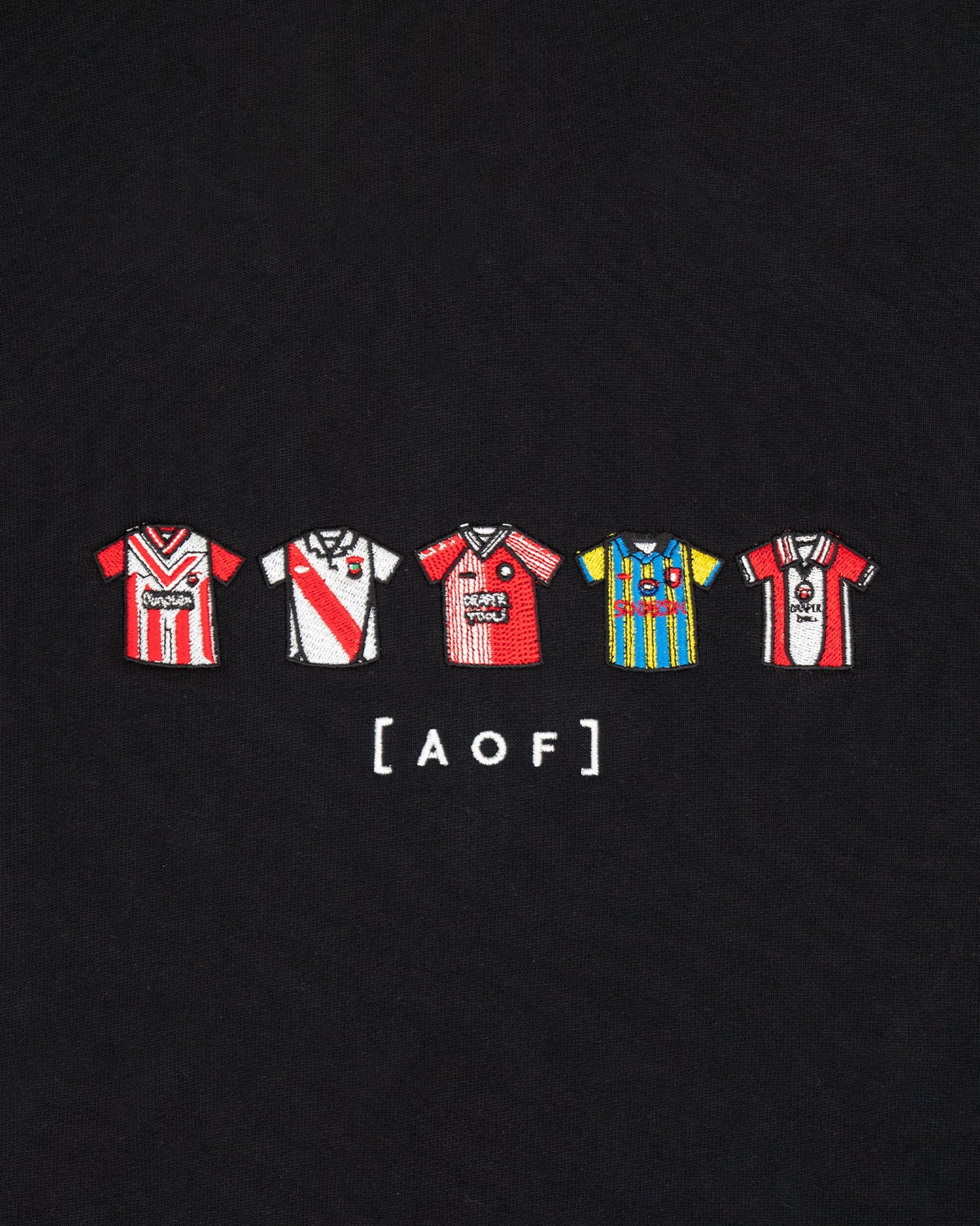 Southampton Embroidered Classics Hoodie