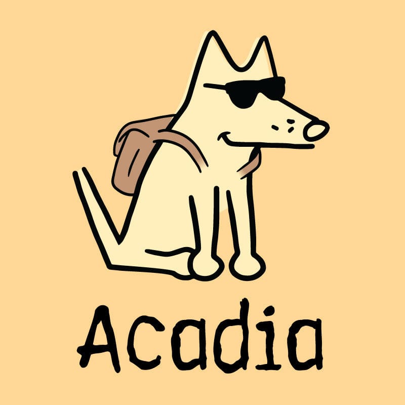 Acadia - Youth Short Sleeve T-Shirt