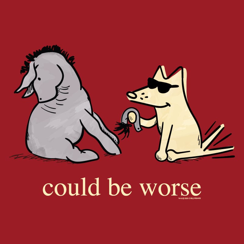 Could Be Worse - Ladies T-Shirt V-Neck