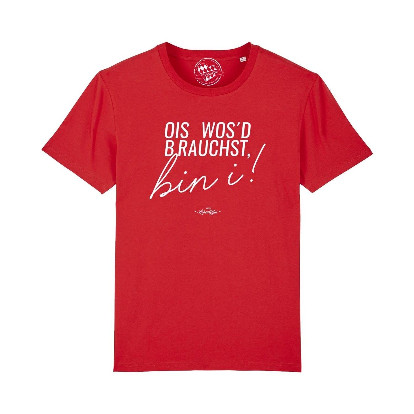 Herren T-Shirt "Ois wos'd brauchst..."