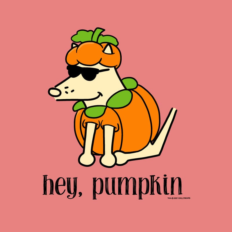Hey, Pumpkin - Sweatshirt Pullover Hoodie