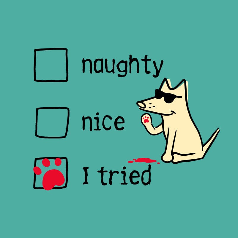 Naughty Nice I Tried - Ladies T-Shirt V-Neck