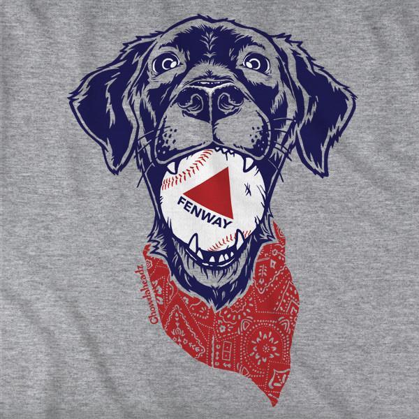 Fenway Dog T-Shirt